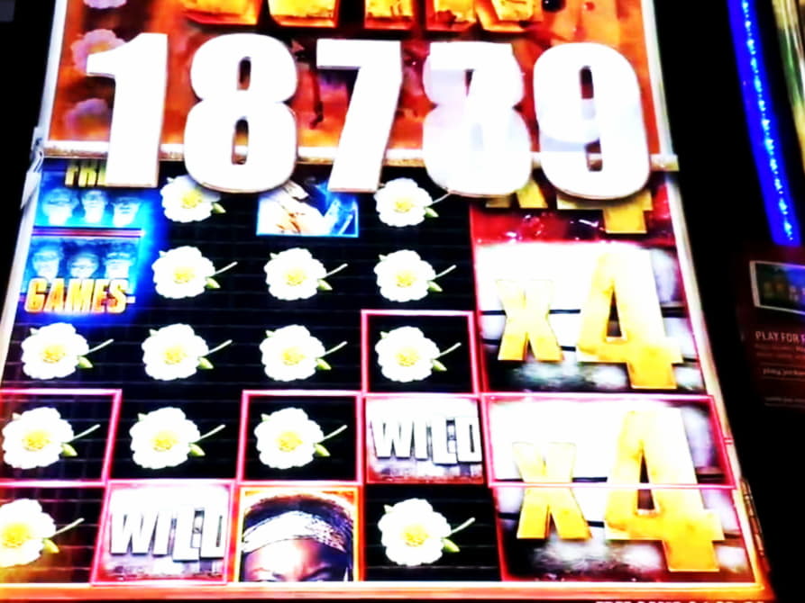 295 Casino de tours gratuits au casino Leo Vegas