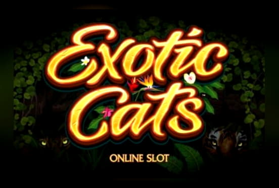 215 tours de casino gratuits au Spin Palace Casino